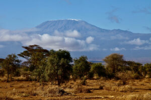 Tanzania Safari tours